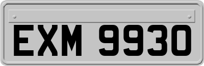 EXM9930