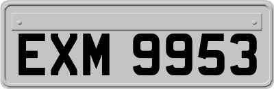 EXM9953