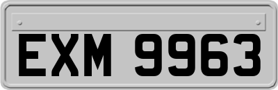 EXM9963