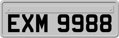 EXM9988