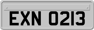EXN0213