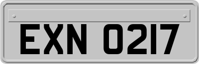 EXN0217
