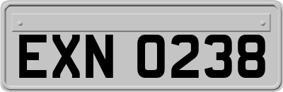 EXN0238