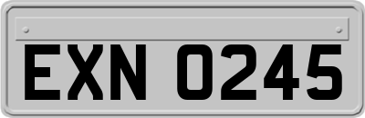 EXN0245