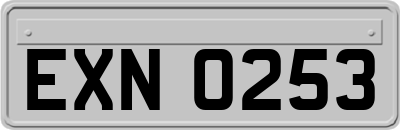 EXN0253