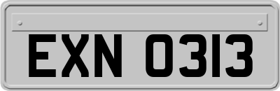EXN0313