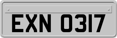 EXN0317