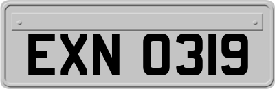 EXN0319