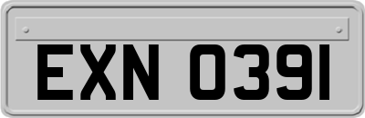 EXN0391