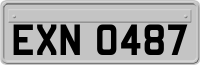 EXN0487