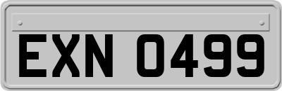 EXN0499