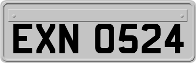 EXN0524