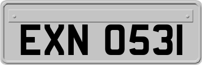 EXN0531