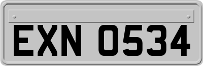 EXN0534
