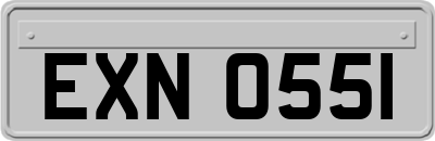 EXN0551