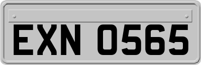 EXN0565