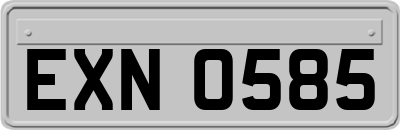 EXN0585