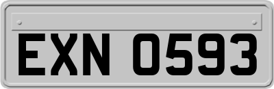 EXN0593