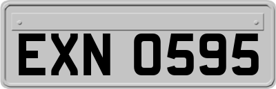 EXN0595