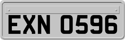 EXN0596