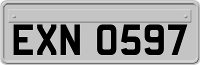 EXN0597