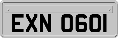 EXN0601