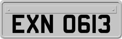 EXN0613