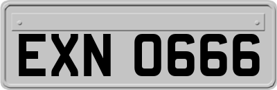 EXN0666