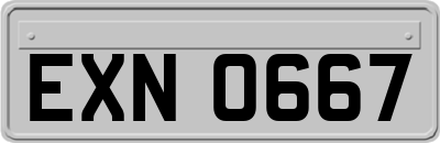 EXN0667