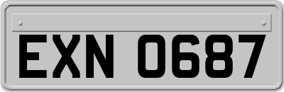 EXN0687
