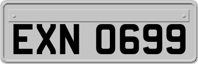 EXN0699