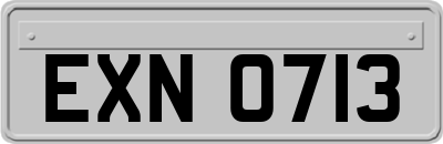 EXN0713