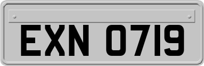 EXN0719