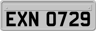 EXN0729