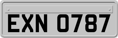 EXN0787