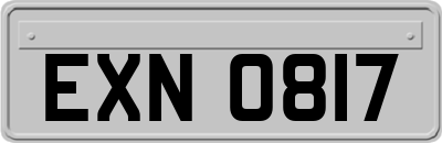 EXN0817