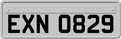 EXN0829
