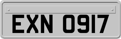 EXN0917