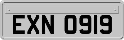 EXN0919