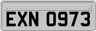 EXN0973