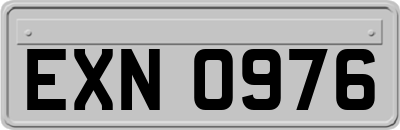 EXN0976
