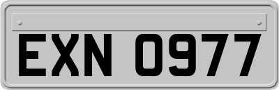 EXN0977