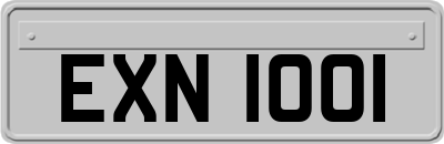 EXN1001