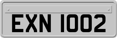 EXN1002