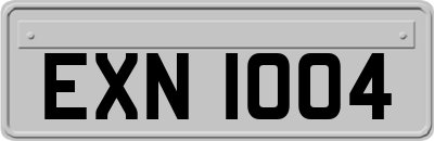 EXN1004