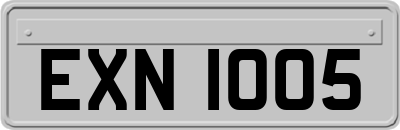 EXN1005