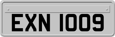 EXN1009