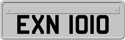 EXN1010