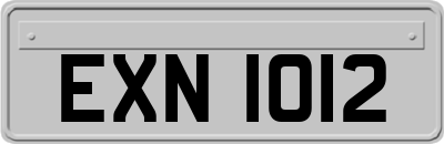 EXN1012