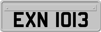 EXN1013